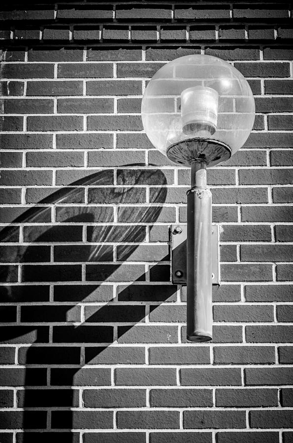 Shadow Of A Lamp - BW Photograph by Carolyn Marshall