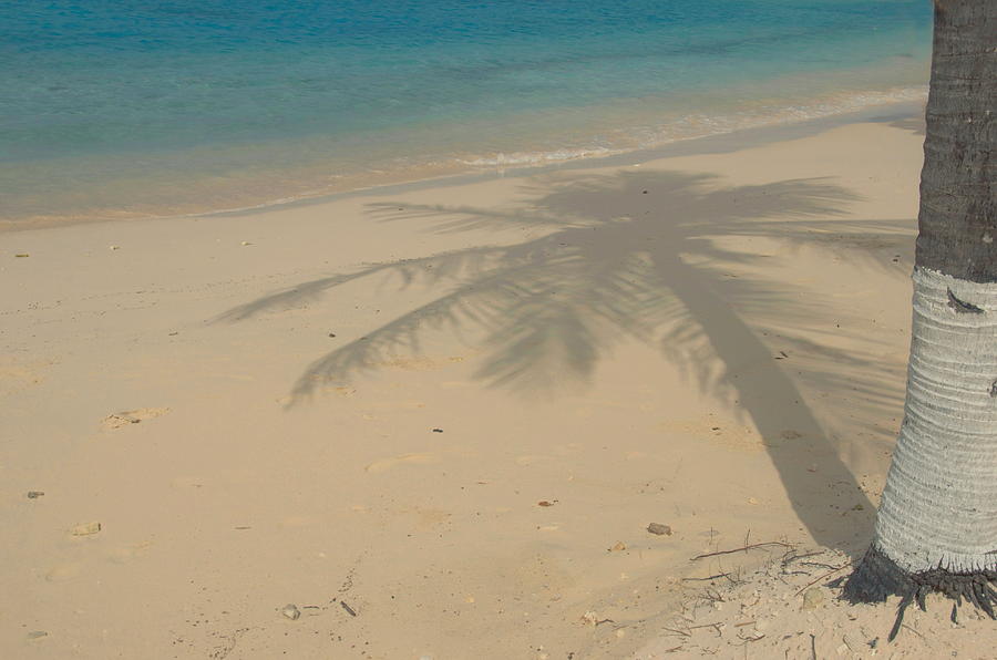 Shadow Of A Palm Tree On White Sand Photograph by Photo By Ira Heuvelman-dobrolyubova