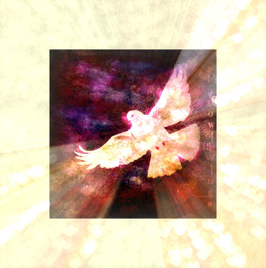 Shadow of His Wings II Digital Art by Christine Nichols