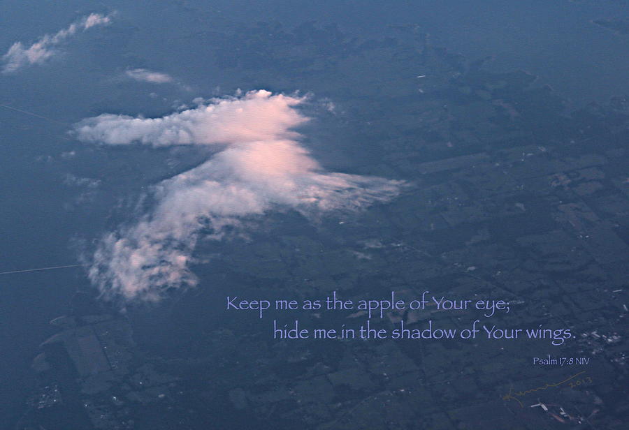 Shadow of Your Wings Photograph by Kume Bryant