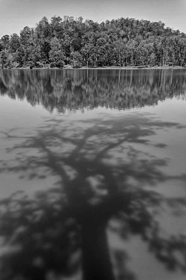 Shadow on lake, Nagzira, 2011 Photograph by Hitendra SINKAR