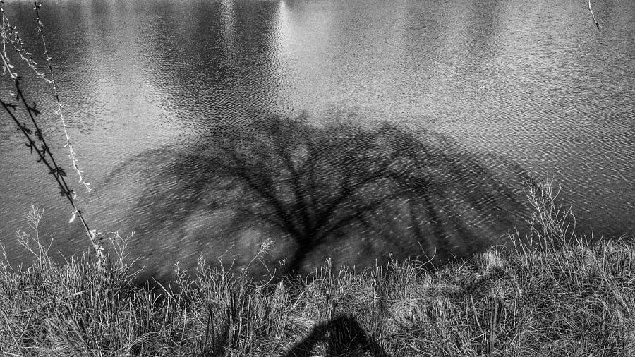 Black And White Photograph - Shadow on the water by Judson Vickery