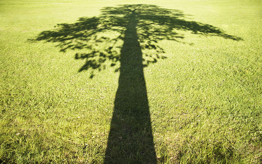 Shadow over grass field Photograph by Maskot