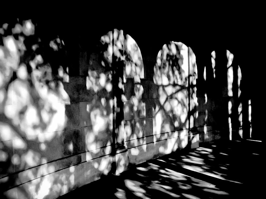 Shadow Play - Black and White Photograph by Colleen Kammerer