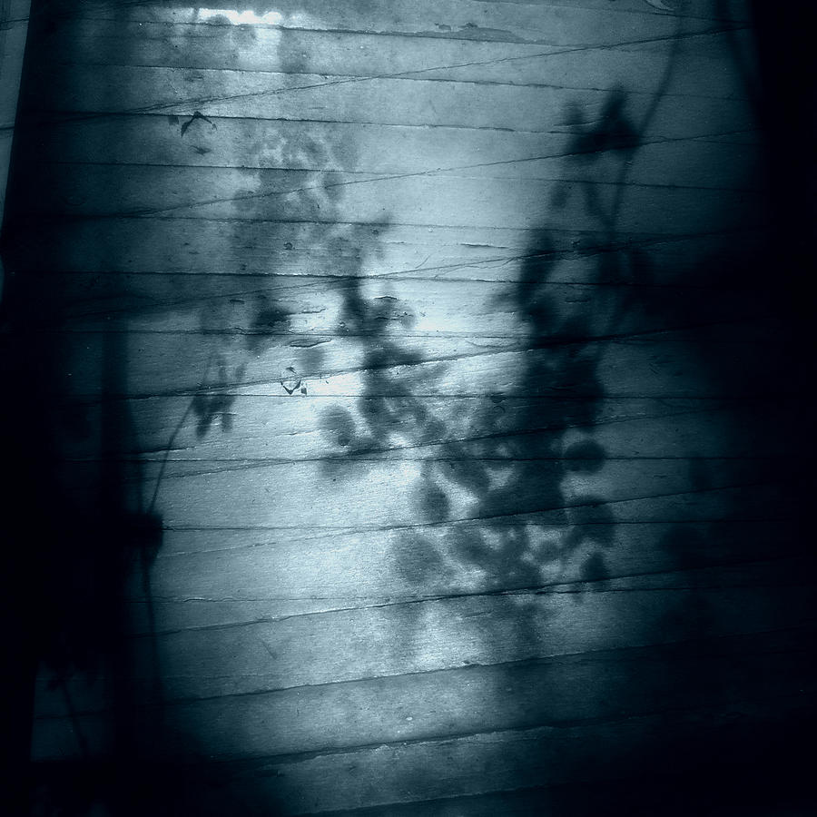 Shadow Play Photograph by Louise Kumpf