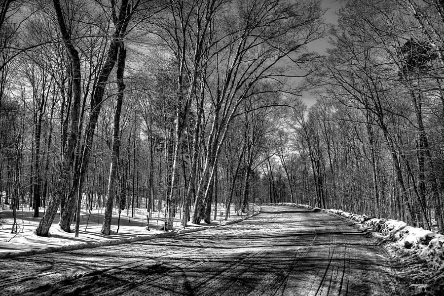 Winter Photograph - Shadow Play on Rondaxe Road by David Patterson