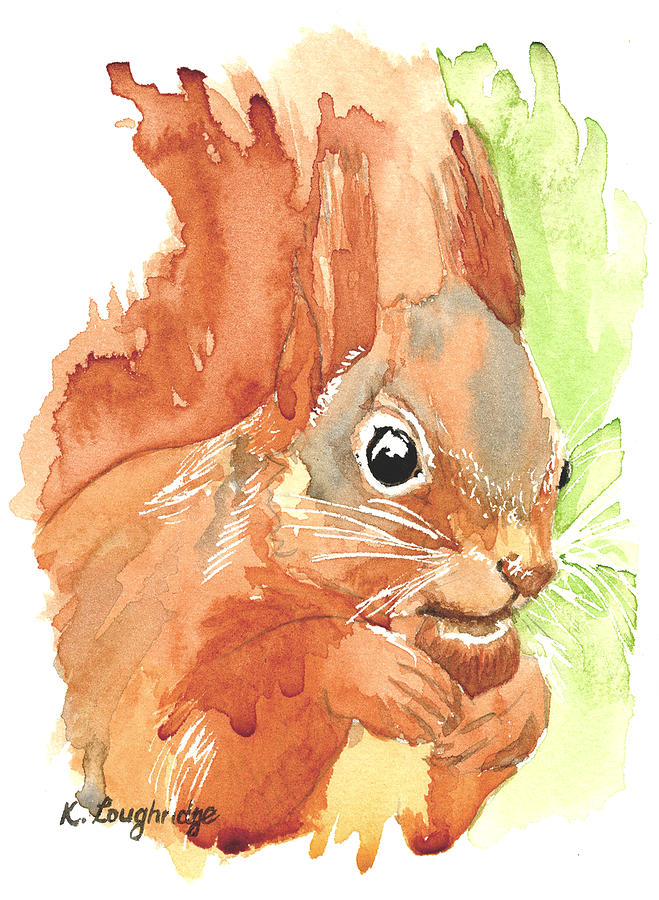 Shadow Tail Red Squirrel Painting by Karen  Loughridge KLArt