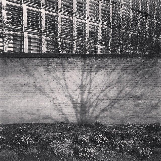 London Photograph - #shadow #wall #whitecity #london #city by Ludwig Amadeus