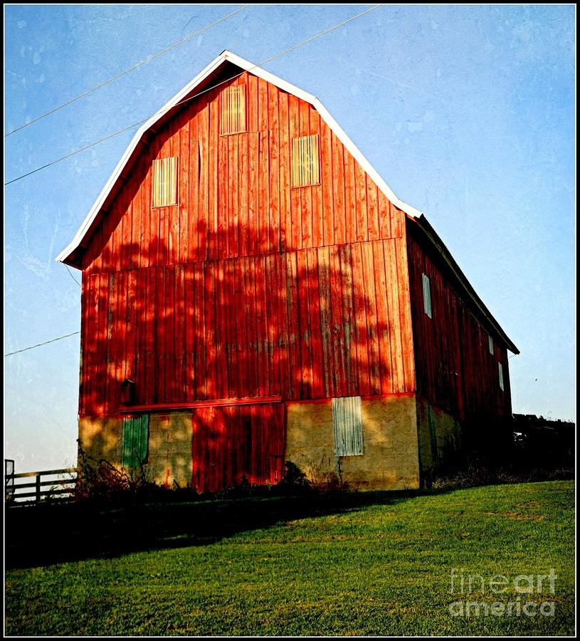 Shadowed Barn Photograph by Beth Ferris Sale
