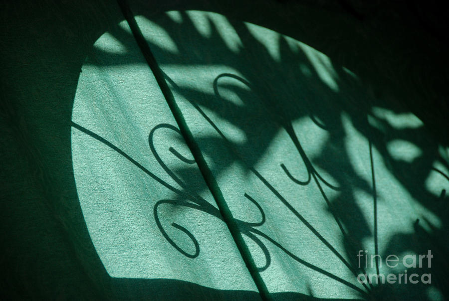 Shadows 1 Photograph by Fran Woods