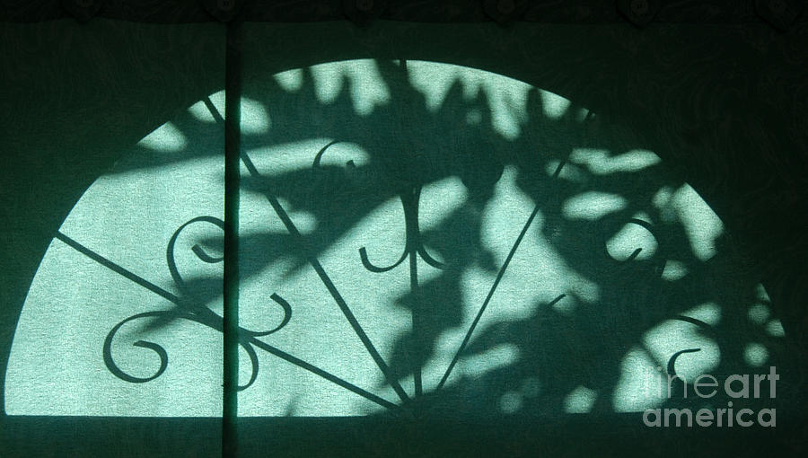 Shadows 2 Photograph by Fran Woods