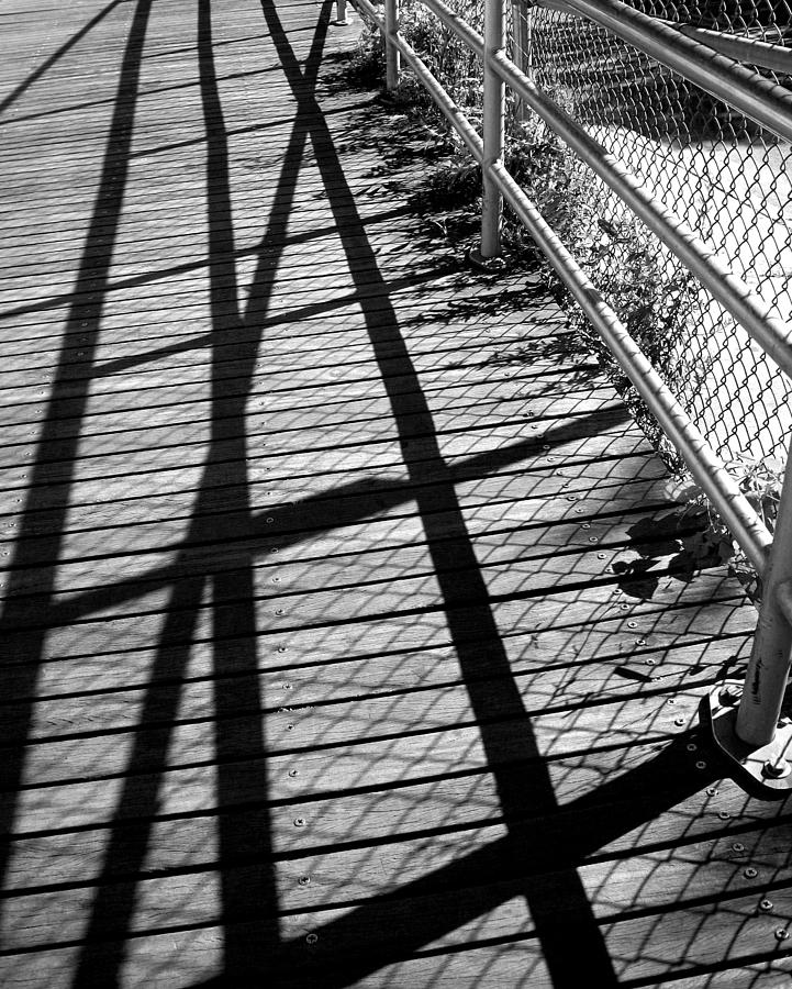 Shadows and Fences Photograph by Liza Dey