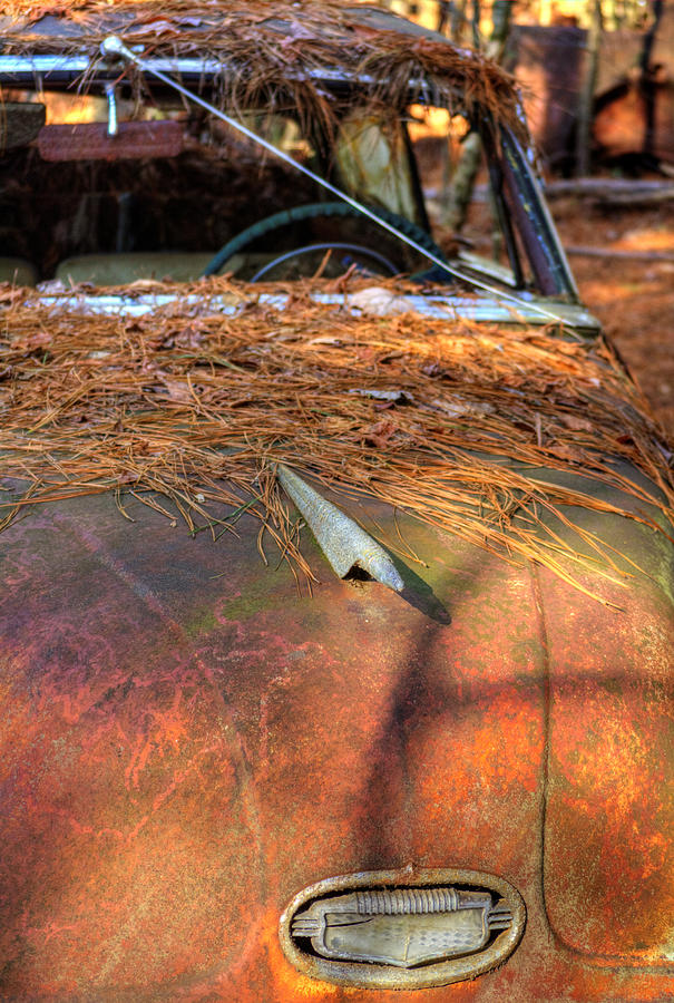 Rusty Car Photograph - Shadows and Pine Straw On An Old Rusty Car by Greg and Chrystal Mimbs