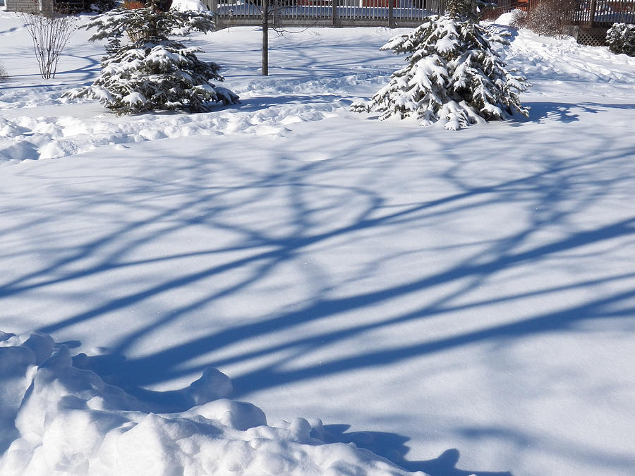 Shadows and Snow Photograph by Corinne Elizabeth Cowherd