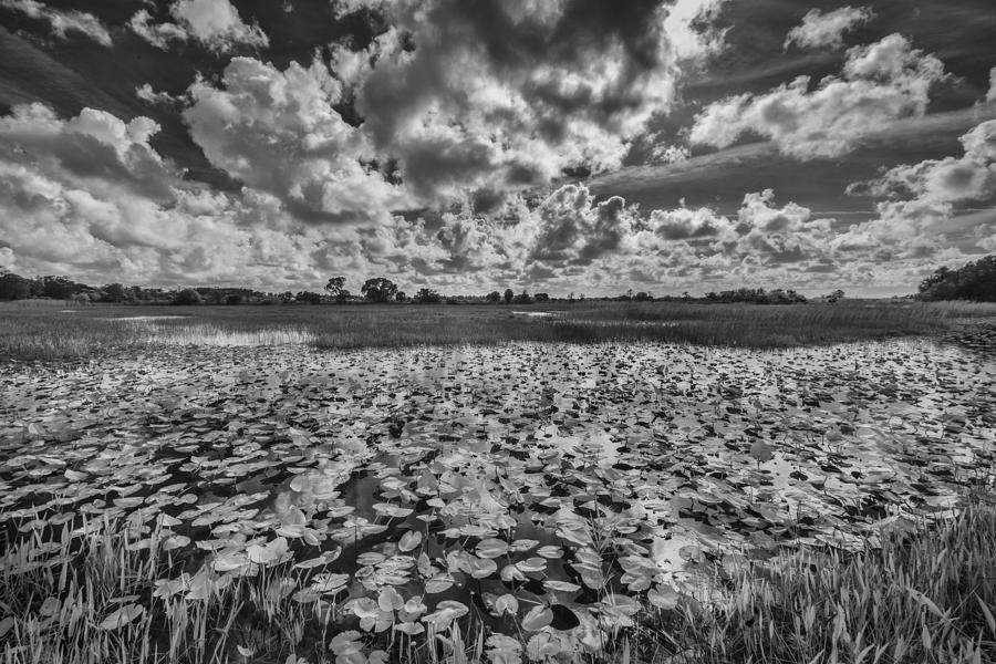 Black And White Photograph - Shadows in the Afternoon by Jon Glaser