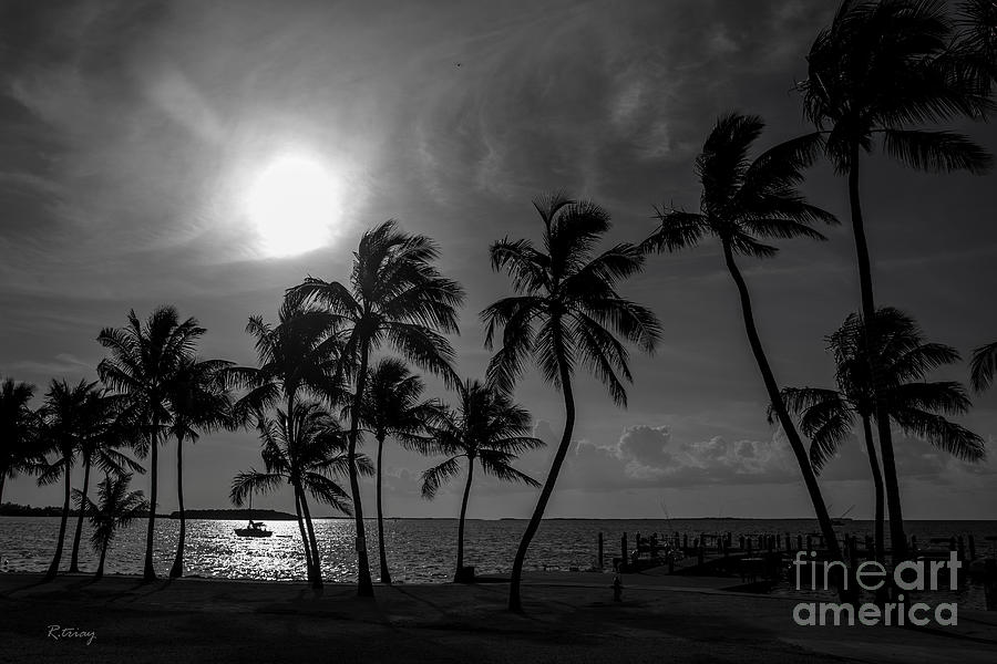 Sunset Photograph - Shadows in the Night by Rene Triay FineArt Photos