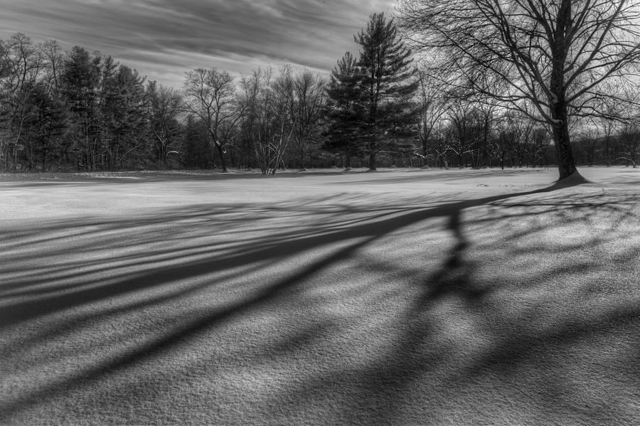 Black And White Photograph - Shadows In The Park by Bill Wakeley