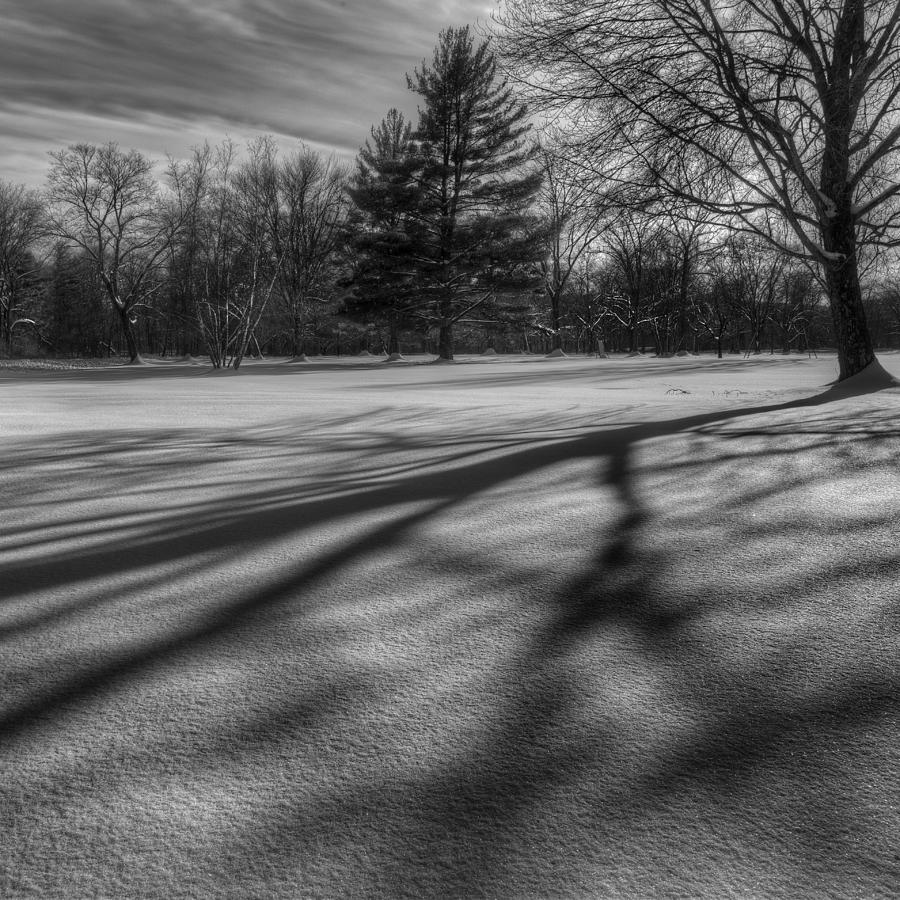 Black And White Photograph - Shadows In The Park Square by Bill Wakeley