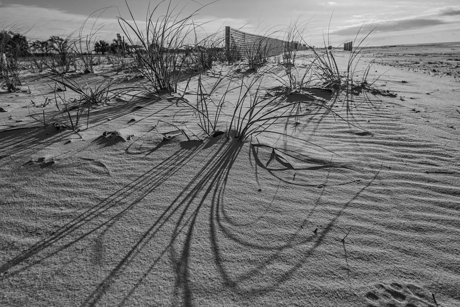 Shadows in the Sand Photograph by Brian Wright