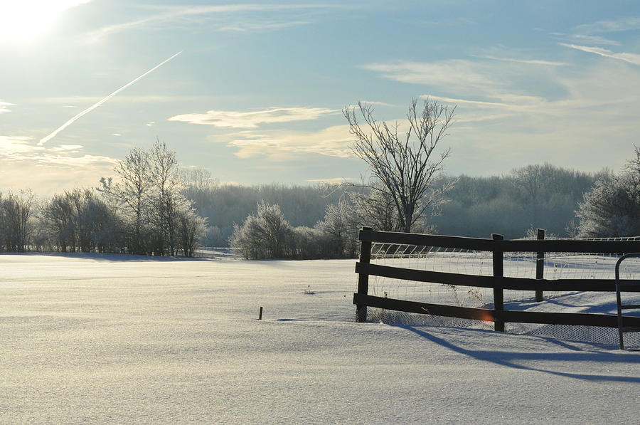 Shadows in the Snow Photograph by Lisa DiFruscio - Fine Art America