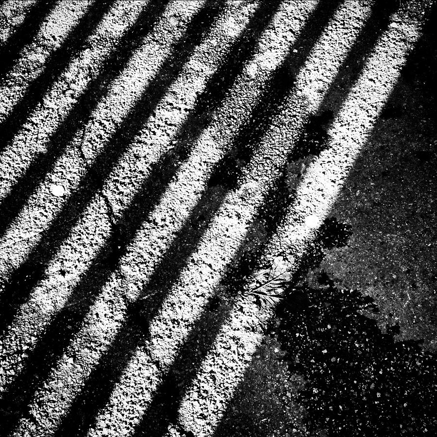 Black And White Photograph - Shadows by Jason Roust