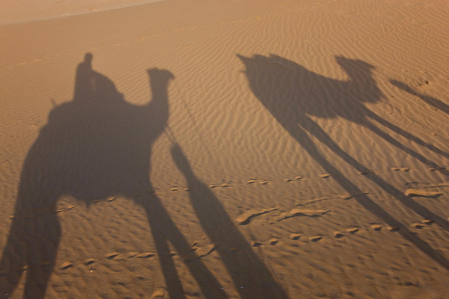 Camel Photograph - Shadows Of A Camel Train, Thar Desert by Peter Adams
