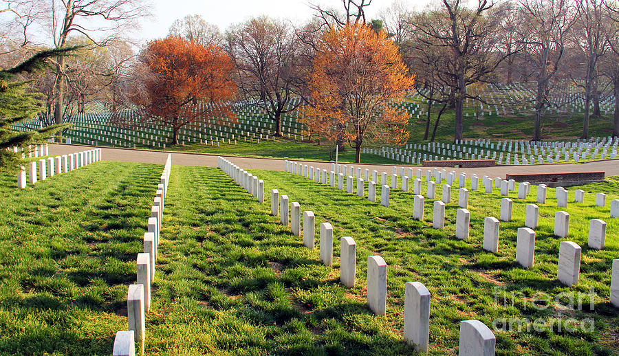 Shadows of Courage Arlington National Cemetery  1159 Photograph by Jack Schultz