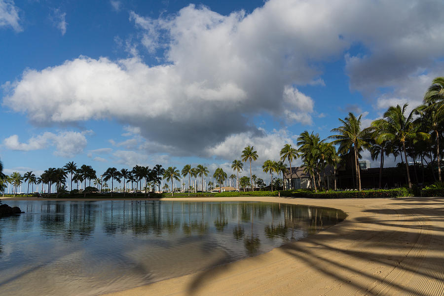 Shadows of Palms - a Lagoon in Waikiki Honolulu Hawaii Photograph by Georgia Mizuleva