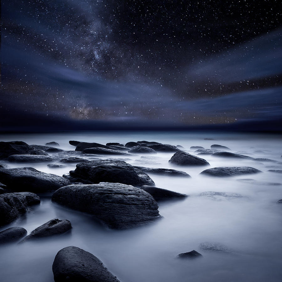 Shadows of the Night Photograph by Jorge Maia