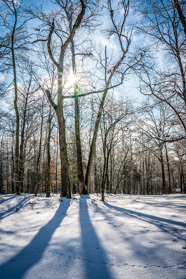Shadows of Winter Photograph by Joe Myeress