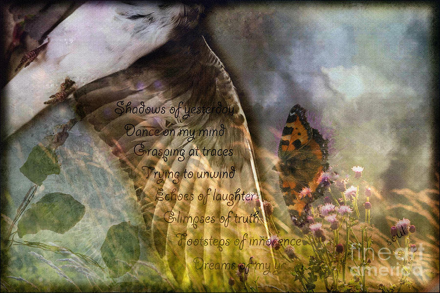 Butterfly Digital Art - Shadows of Yesterday by Liz  Alderdice