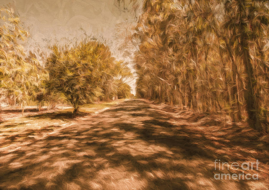 Vintage Painting - Shadows on Autumn Lane by Jorgo Photography