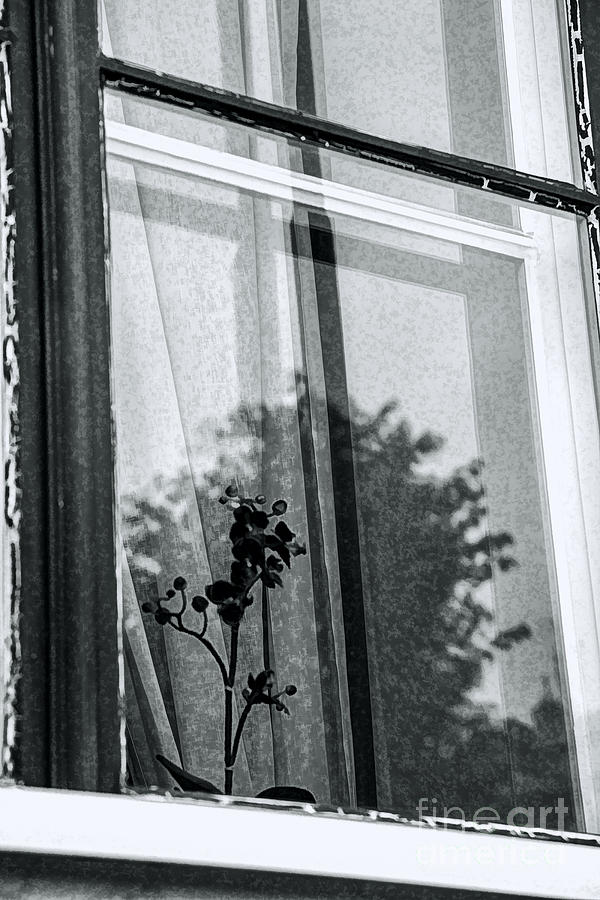 Shadows on Glass Photograph by Rick Bragan