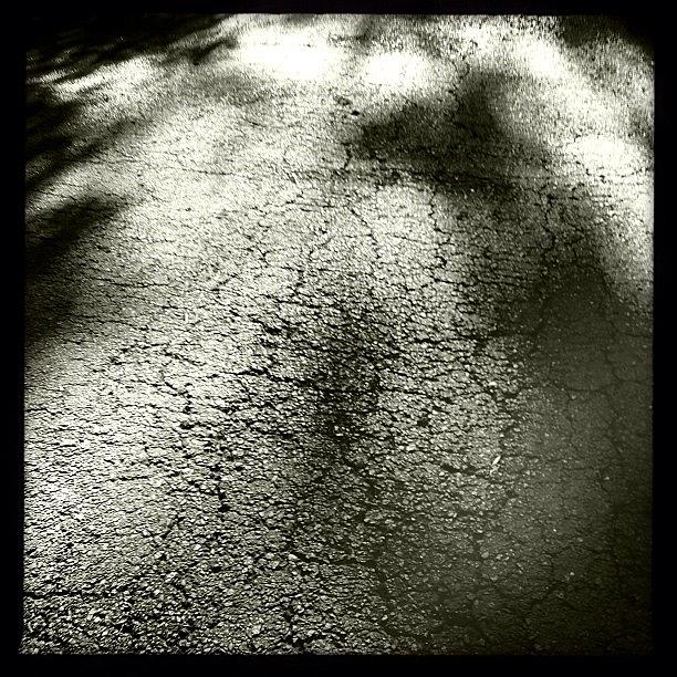 Shadows On Pavement, Accidental Photo Photograph by Deirdre Ryan