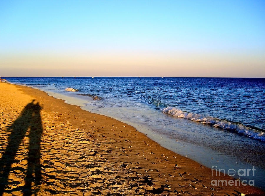 Shadows On Sand Beach Photograph by Nina Ficur Feenan