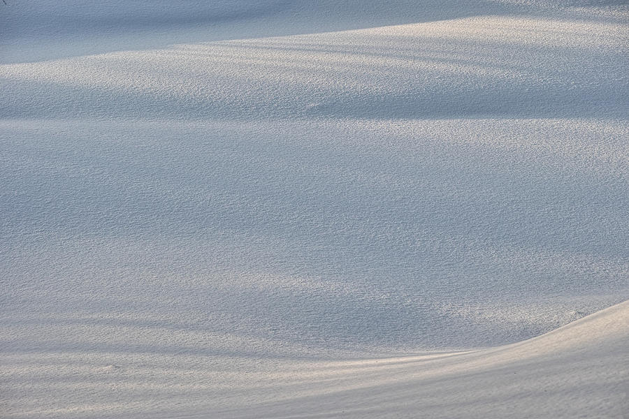 Shadows on Snow Photograph by Pekka Sammallahti