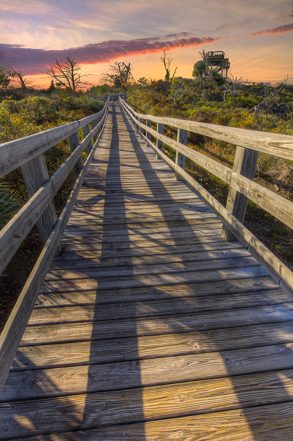 Fall Photograph - Shadows on the Boardwalk by Debra and Dave Vanderlaan