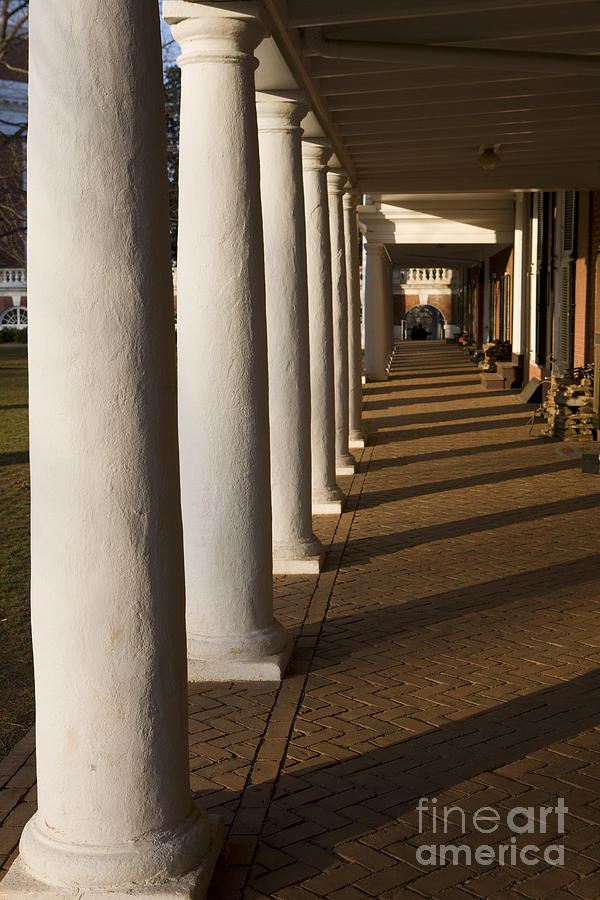 Shadows on the Lawn University of Virginia Photograph by Jason O Watson