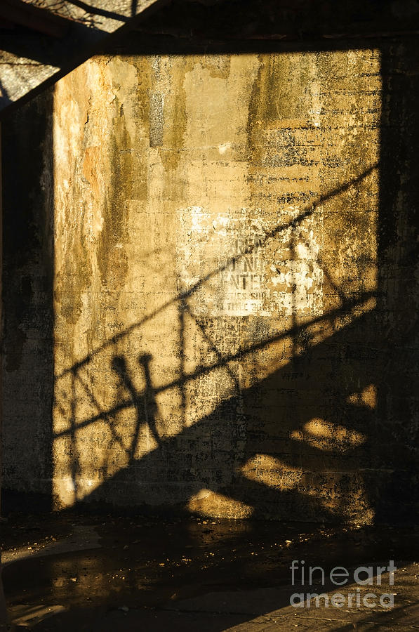 Shadows on the Past Photograph by Debra Fedchin