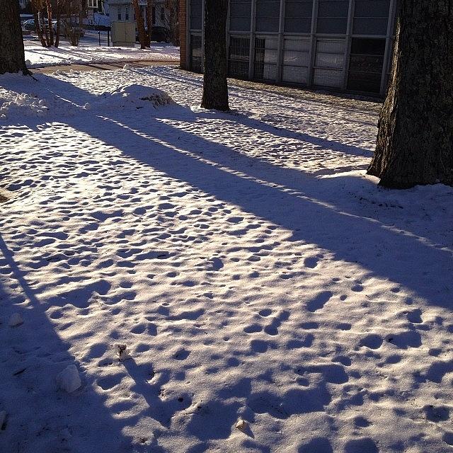 Shadows On The White Ground Photograph by Julian Chen