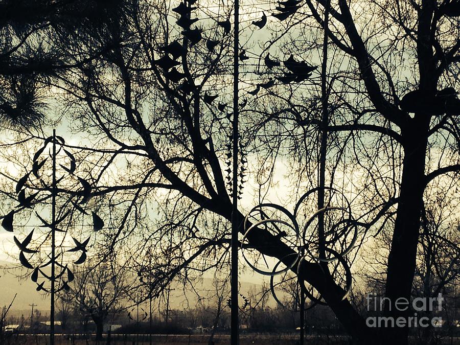 Tree Photograph - Shadows Playground by LeLa Becker