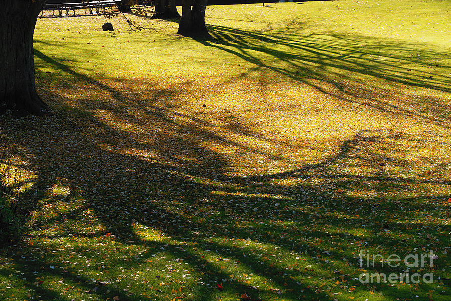 Fall Photograph - Shadows Shifting by Linda Shafer