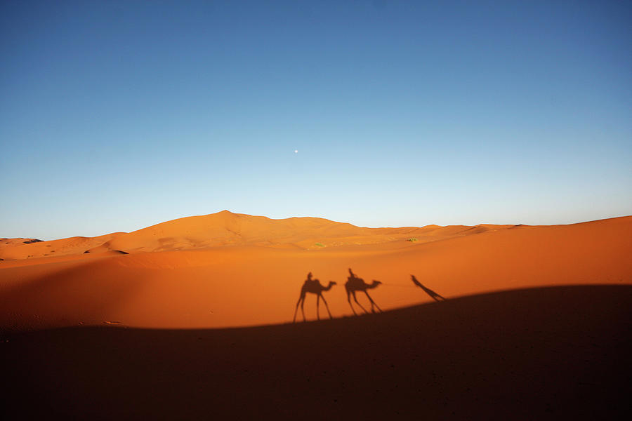 Shadows Trekking On Dessert Photograph by Chin Ping, Goh