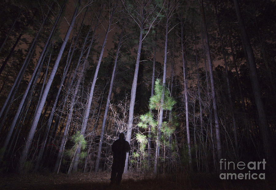 Shadowy Figure in a Forest at Night  Photograph by Jonathan Welch
