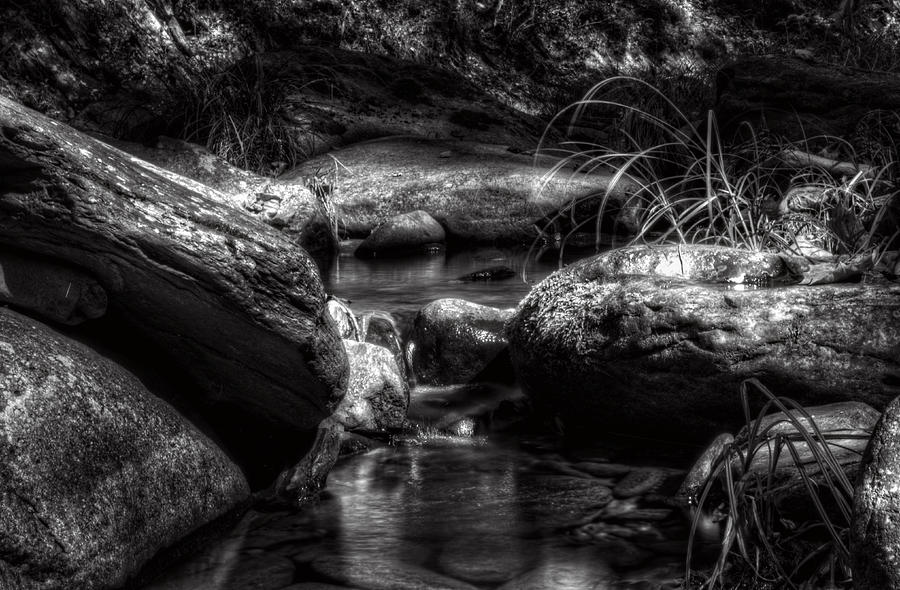 Shadowy Home For Trout in Black and White Photograph by Greg and Chrystal Mimbs
