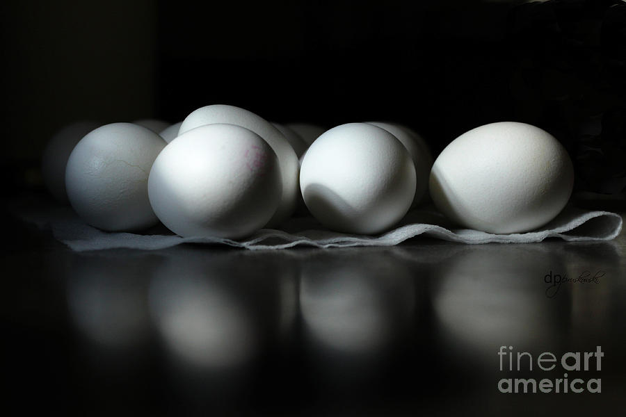 Egg Photograph - Shady Eggs by Debra Pruskowski