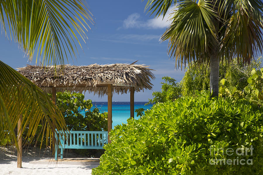 Shady View - Bahamas Photograph by Brian Jannsen