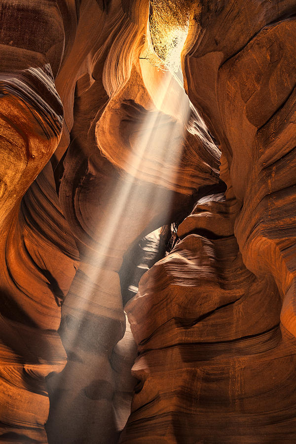 Shaft of Light Photograph by Diana Powell