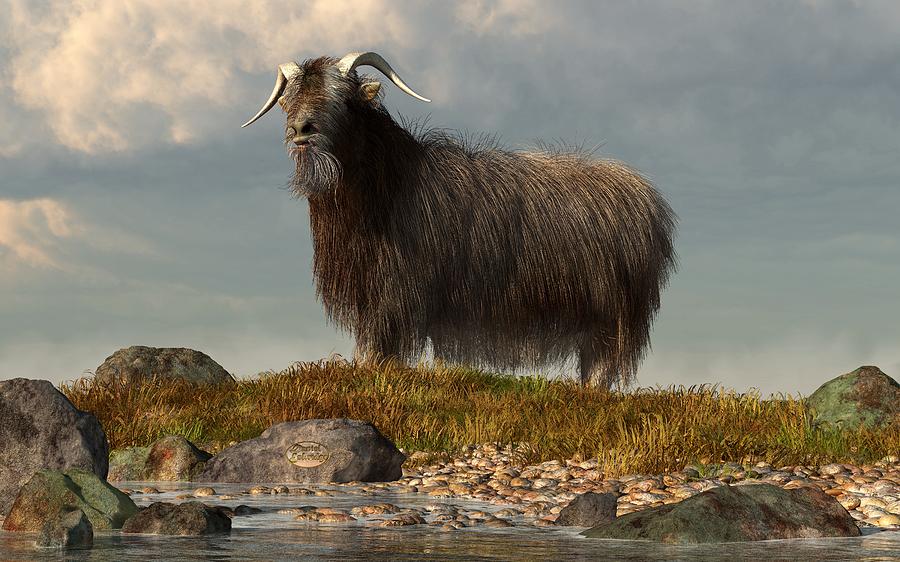 Shaggy Goat Digital Art by Daniel Eskridge