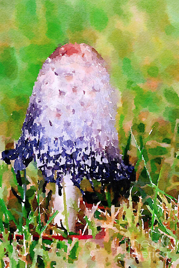 Shaggy Ink Cap Mushroom Digital Watercolor Photograph by Kerri Farley